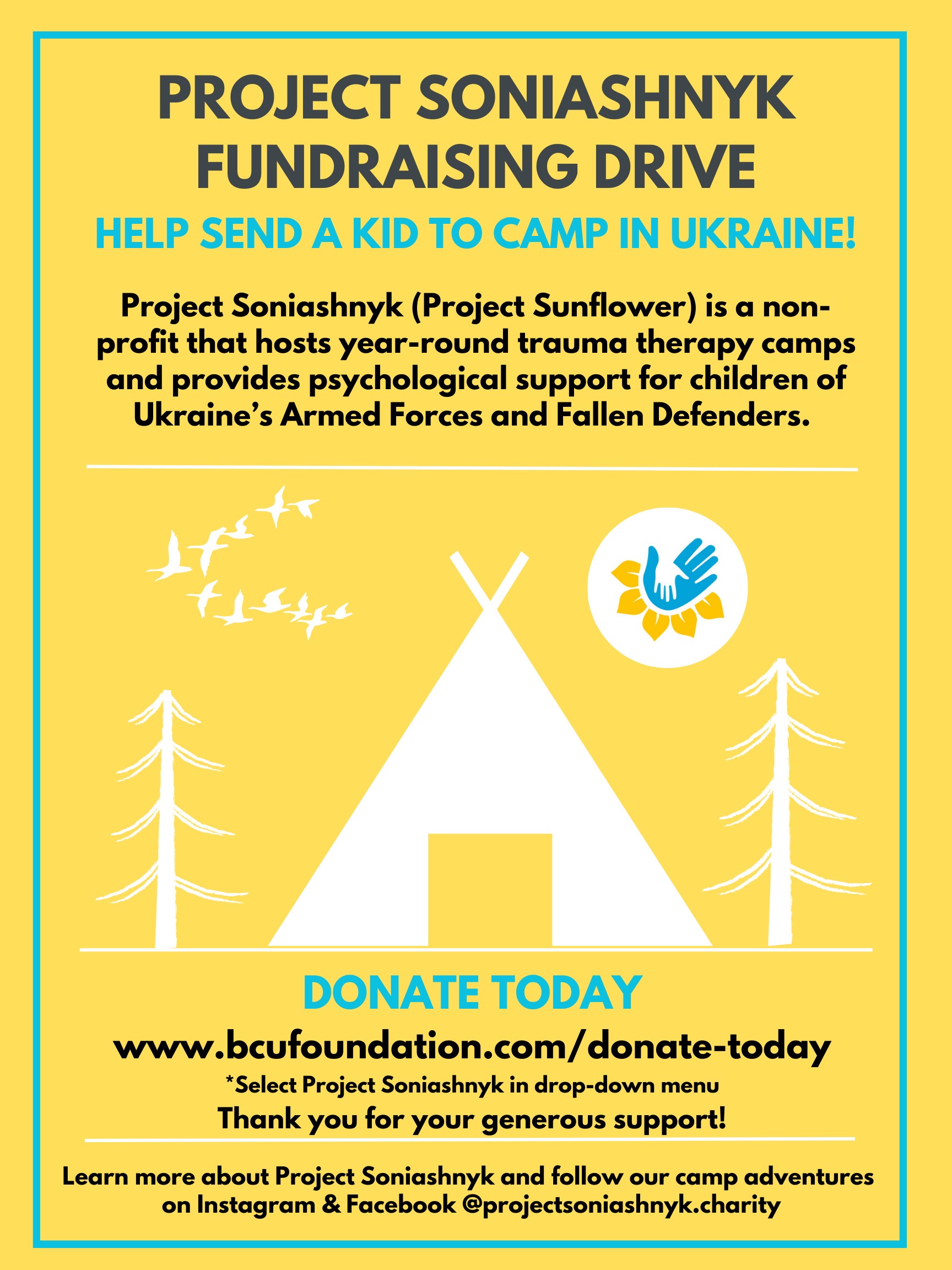 Project Soniashnyk - Donate